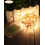 String Lights, 5M 50LED String Lights Battery Operated Mini Led Indoor String Lights Decoration 5