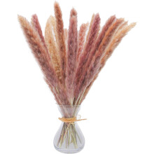 30 Pcs 45 cm All Natural Dried Pampas Grass Vase Decor - dried flowers for vase
