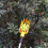 Fruit Picking Basket Fruit Picking Apple Picking Basket Practical Picking Basket 5