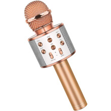 Champagne Coloured Children'S Microphone Karaoke Microphone Birthday - 3-12 Years Old Girl'S Fun Toy.