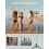 Self Timer Tripod, Expandable 180 Cm Self Timer, Portable Monopod Mobile Phone Bracket 2