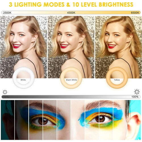 4" Ring Light for Laptop with Stand, Conference Lighting Kit, 3 Light Modes Dimmable LED Ringlight for Meetings 1