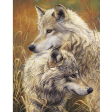 DIY Oil Painting, Paint by Number Kits for Kids, Wall Decor Canvas Art 16 x 20 Inch Canvas (Wolf)