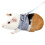 Small Pet Guinea Pig Rabbit Harness and Leash Blue Stripe Vest,S 3