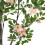 Living And Home 160cm Artificial Frangipani Blossom Tree in Pot for Decoration 3