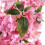 Living And Home 180cm Artificial Cherry Blossom Tree in Pot for Decoration 3