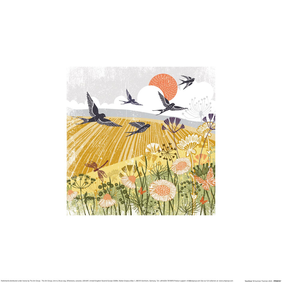 Summer Thornton (Woodland Nature - Swallows)