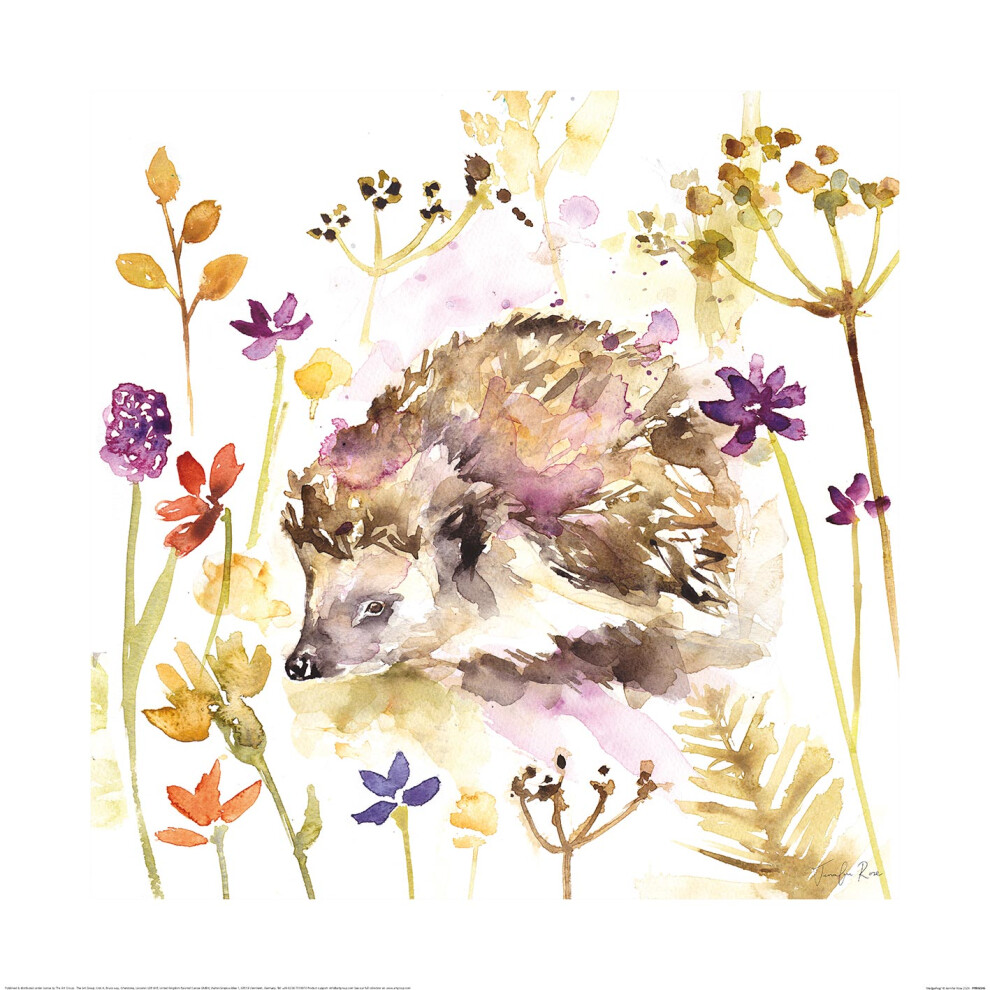 Group-Tb-Tomás-Bodero-Group Jennifer Rose (Hedgehog)
