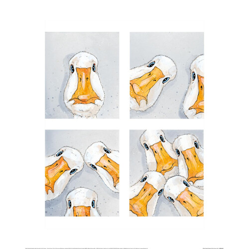 Bev Davies (Photo Booth-Geese)