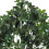 Living And Home 122cm H Artificial Schefflera Arboricola Tree in Pot for Decoration 3