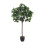 Living And Home 122cm H Artificial Schefflera Arboricola Tree in Pot for Decoration 2