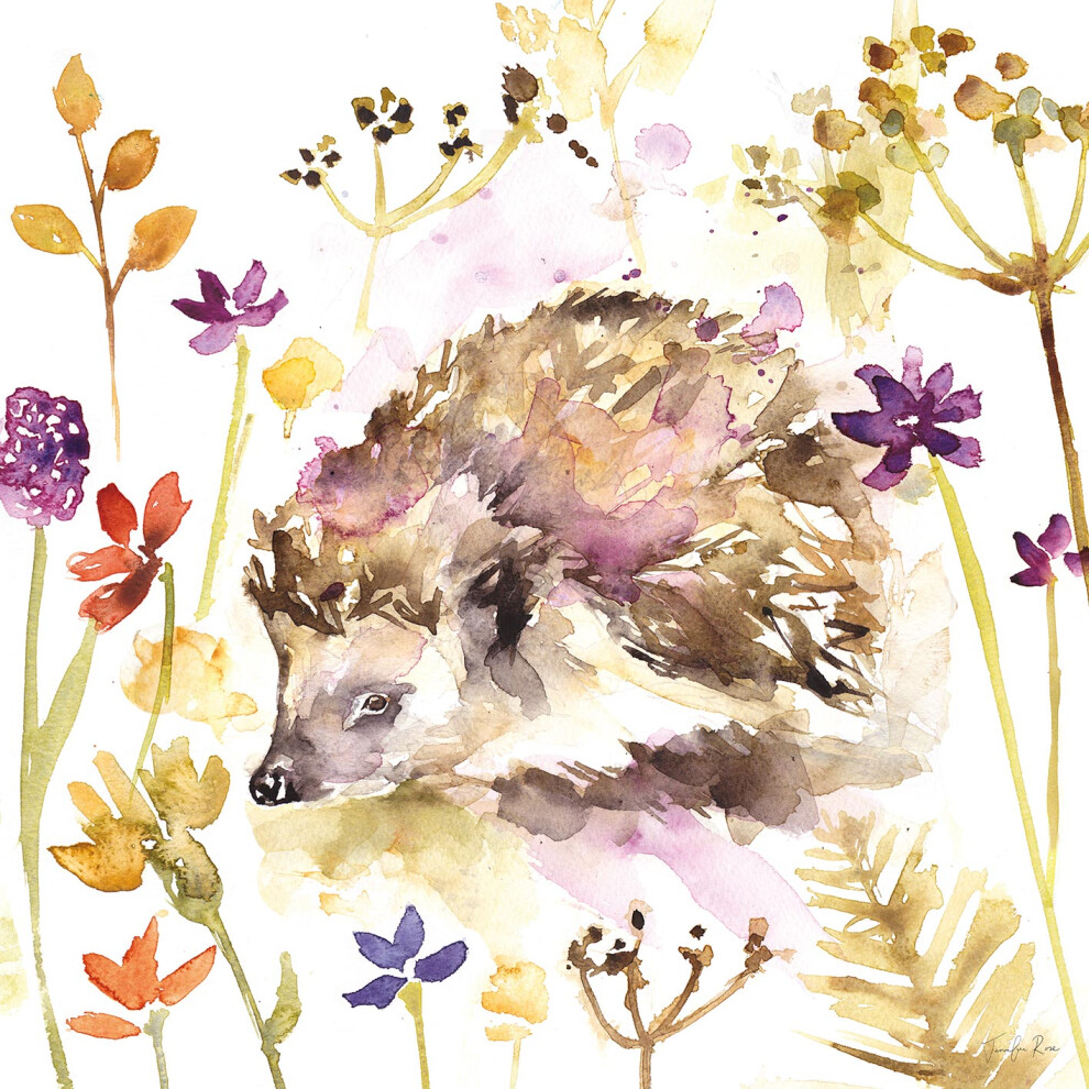 Group-Tb-Tomás-Bodero-Group Jennifer Rose (Hedgehog)