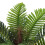 Living And Home 90cm Artificial Phoenix Fern Tree Potted Plant for Decoration 3