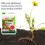 Pro-Kleen (4L) NoGrow Glyphosate Weed Killer 5