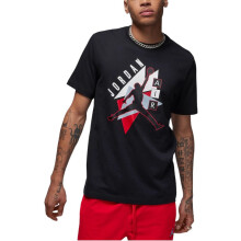 (Black, Large) Nike Jordan Mens T Shirts