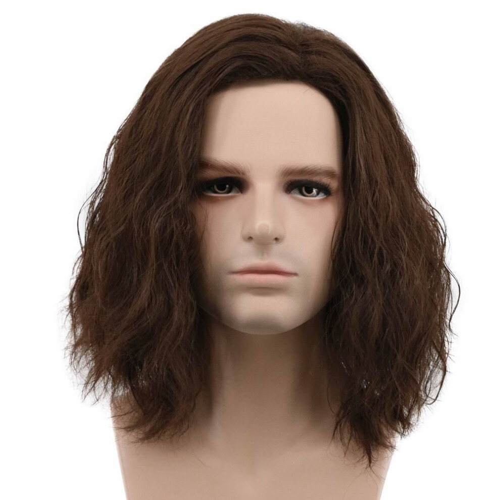 Karlery Unisex Brown Men Fluffy Short Curly Wig Halloween Cosplay Wig Anime Costume Wig (1)