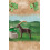 PLAYMOBIL Playmobil Wiltopia Κατασκευή Ιβέξ 3