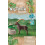 PLAYMOBIL Playmobil Wiltopia Κατασκευή Ιβέξ 4