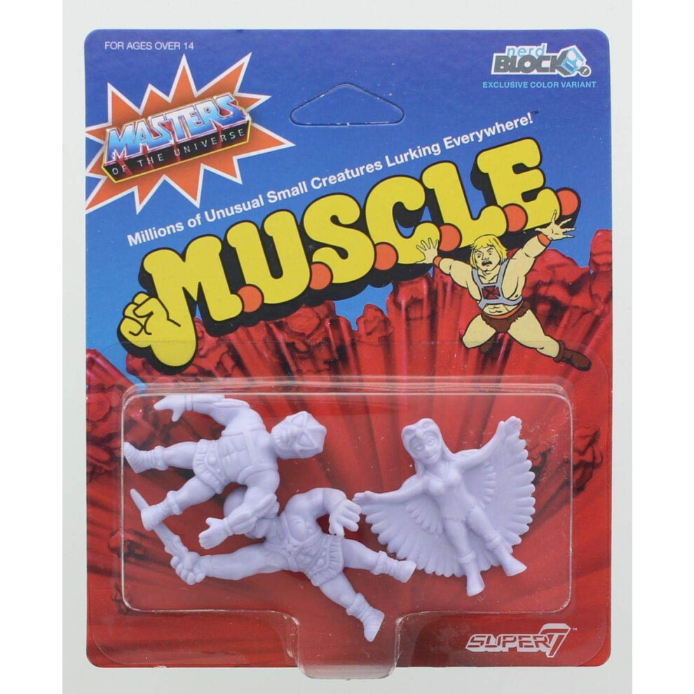 Photos - Action Figures / Transformers Masters of the Universe M.U.S.C.L.E. 3-Pack: He-Man II, Sorceress, Stratos