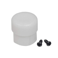 Razor Crazy Cart Plastic Tip met Schroeven (1 Stk) (voor Stabilisatiepost)