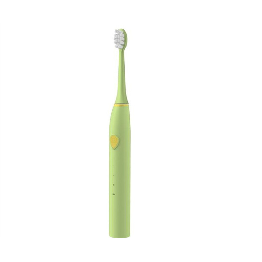 Dsport 015 Portable Electric Toothbrush Usb Rechargeable Toothbrush