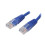 StarTech.com StarTech.com 1.5m RJ45 Cat5e UTP Snagless Patch Cable Blue M45PATCH35BL 1