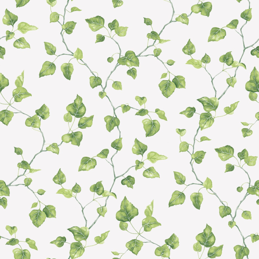 (Green) Just Kitchens Just Ivy Wallpaper Galerie 5055430054319