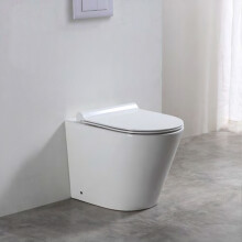 Baku Back-to-Wall Toilet - Rimless Slim Modern, Soft-Close Seat, Space-Saving, Concealed-Cistern Compatible (106325)