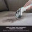 Shark StainStriker Pet Spot Carpet Cleaner 3