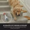 Shark StainStriker Pet Spot Carpet Cleaner 5