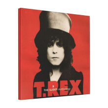 Canvas Print Only LOGO-T Rex The Slider Cla Wall Art Poster Room Decor 18x18 inch No Frame