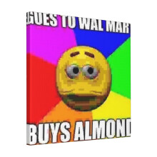Canvas Print Only Goes To Walmart, Buys Almond Wall Art Poster Room Decor 18x18 inch No Frame