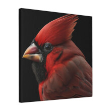 Canvas Print Only Beautiful Cardinal Portrait Wall Art Poster Room Decor 18x18 inch No Frame