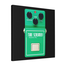 Canvas Print Only Tube Screamer Guitar Pedal Wall Art Poster Room Decor 18x18 inch No Frame