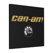 Canvas Print Only Canam Wall Art Poster Room Decor 18x18 inch No Frame