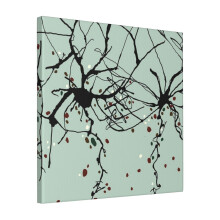 Canvas Print Only Neurons Wall Art Poster Room Decor 18x18 inch No Frame