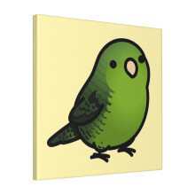 Canvas Print Only Chubby Green Lineolated Barred Parakeet Wall Art Poster Room Decor 18x18 inch No Frame
