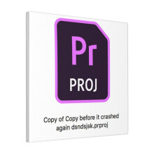 Canvas Print Only Premiere Pro File Icon Wall Art Poster Room Decor 18x18 inch No Frame