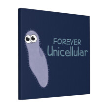 Canvas Print Only Forever Alone Paramecium Wall Art Poster Room Decor 18x18 inch No Frame