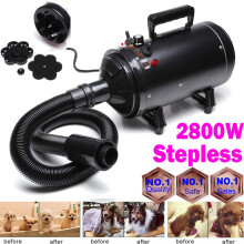 2800W Stepless Speed Dog Cat Pet Grooming Hair Dryer Hairdryer Powerful Blaster Blower Black with 3 Different Nozzle