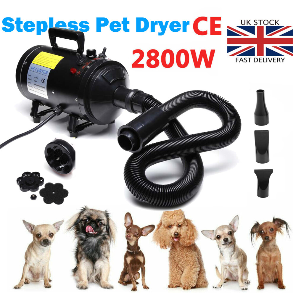 2800W Stepless Speed Dryer Powerful Professional Dog Grooming Pet Hairdryer Blaster with 3 Nozzles for Home Pets Salon