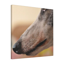 Canvas Print Only Greyhound Portrait 'Rex' Wall Art Poster Room Decor 18x18 inch No Frame