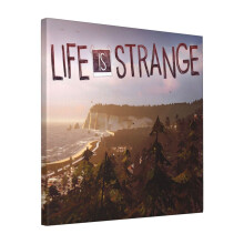 Canvas Print Only Life Is Strange I Wall Art Poster Room Decor 18x18 inch No Frame