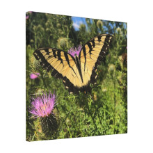 Canvas Print Only Butterfly Wall Art Poster Room Decor 18x18 inch No Frame