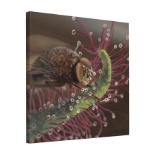 Canvas Print Only Sundew And Bottle Fly Wall Art Poster Room Decor 18x18 inch No Frame