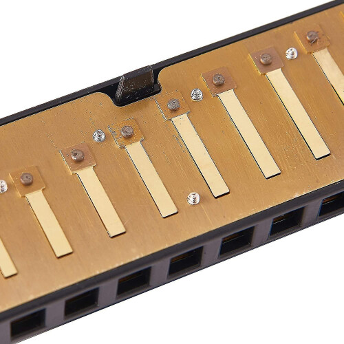 10 Hole 20 Harmonica Blues Deluxe Harmonica Beginner C Harmonica - Black 2