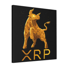 Canvas Print Only XRP Cryptocurrency - XRP Wall Art Poster Room Decor 18x18 inch No Frame