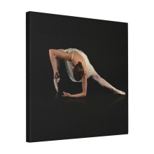 Canvas Print Only Ballet Shapes Wall Art Poster Room Decor 18x18 inch No Frame
