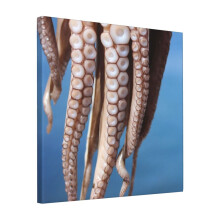 Canvas Print Only Ouzo, Sunset Octopus Wall Art Poster Room Decor 18x18 inch No Frame