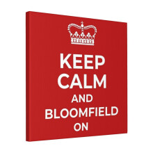 Canvas Print Only Keep Calm And Bloomfield On The Curve Crusher Merchandise Wall Art Poster Room Decor 18x18 inch No Frame